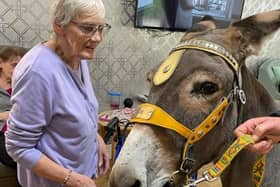 Residents at Strong LIfe Care got to pet and interact with donkeys at the Newmillerdam care home fair