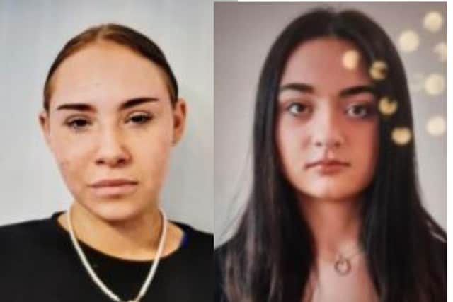 Hollie Hewlett and Lily Clark were reported missing on Sunday, November 5.