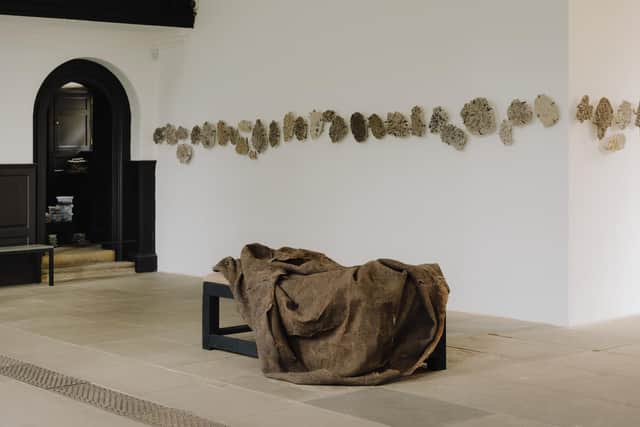 Claye Bowler, Dig me a Grave, 2025. Supported by the Jerwood New Work Fund, Arts Council England and the Henry Moore Foundation.