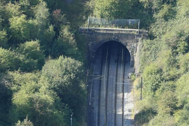 The work to cut back vegetation from the railway lines is expected to take 12 months to complete.