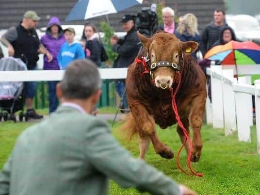 The incident at the Great Yorkshire Show