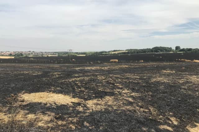 The field after this afternoon's blaze.