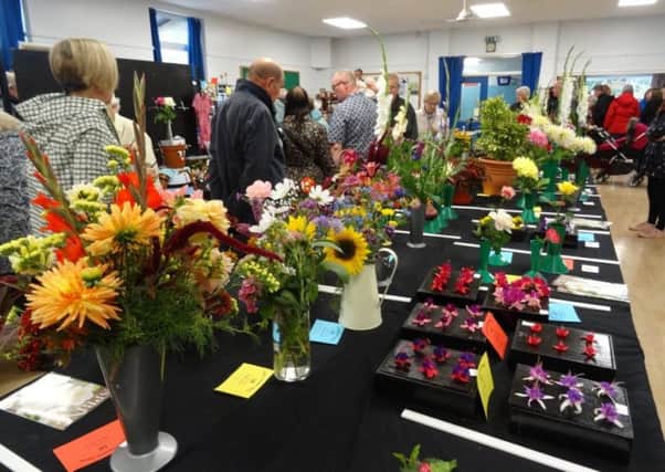 Flowers in bloom at Wrenthorpe Show.