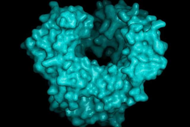 The norovirus causes sickness and diarrhoea.
