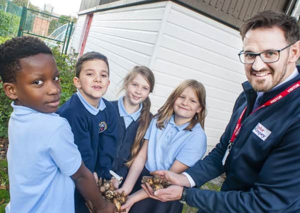 blooming great: Pupils got their spades out to help plant 50 daffodil bulbs.