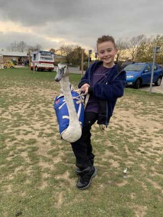 Schoolboy Mckenzie Gelder-Brown and his mum Samantha rescued three-week-old cygnet Stitch at Walton Colliery Nature Park after he was abandoned by his parents.