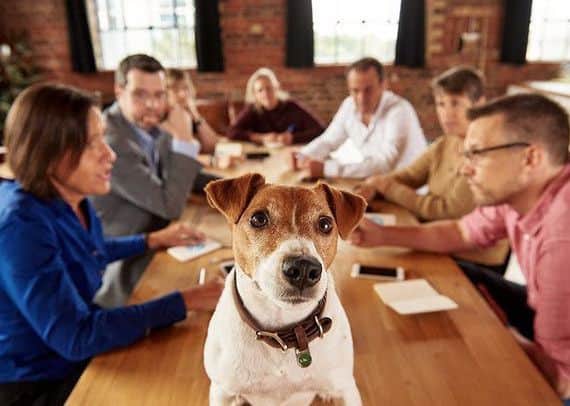 SpareRoom hosts the worldÃ¢Â¬"s first pet and their people think tank meeting