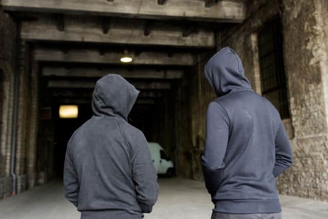 Inspector Paul Sullivan said crime among the under 10s was a "new and emerging" trend.