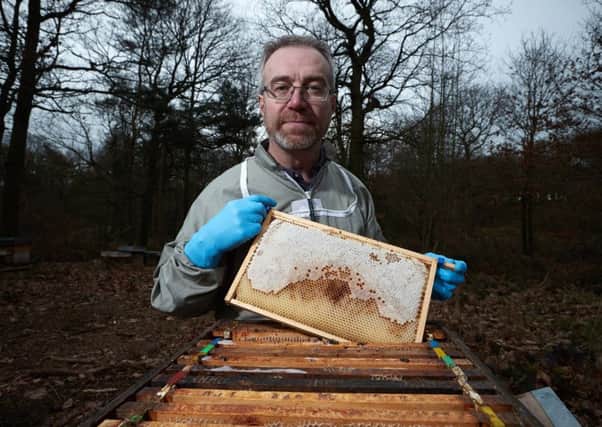 Chris Holmes wants to find suitable sites to home 100 new honeybee colonies.