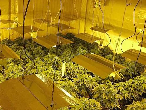 Two cannabis factories were discovered inside houses in Wakefield on Sunday after firefighters attended fires at neighbouring properties.Photo: West Yorkshire Police.
