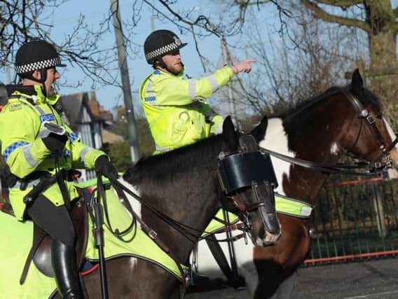 West Yorkshire Police are looking for a new police horse - and yours could be just the mount they are looking for.