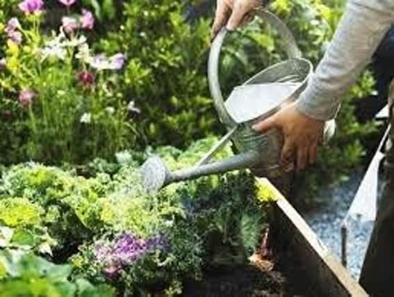 Tips on watering your garden