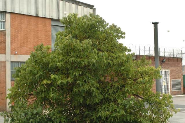The mulberry bush at HMP Wakefield.