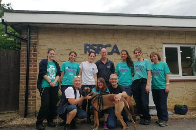 Staff at RSCPA South Godstone wished Gary a "long happy life" with his new family.
