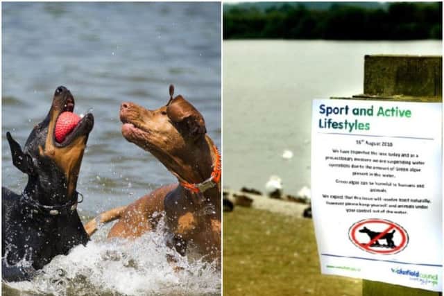 A warning has been issued about the dangers of algae as it is confirmed that the the lake at Pugneys Country Park will remain closed this week due to high levels of bacteria.
