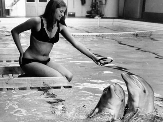 Pictured is Miss Susan Shieldsof Pickering, aged 20,training dolphins at the facility.