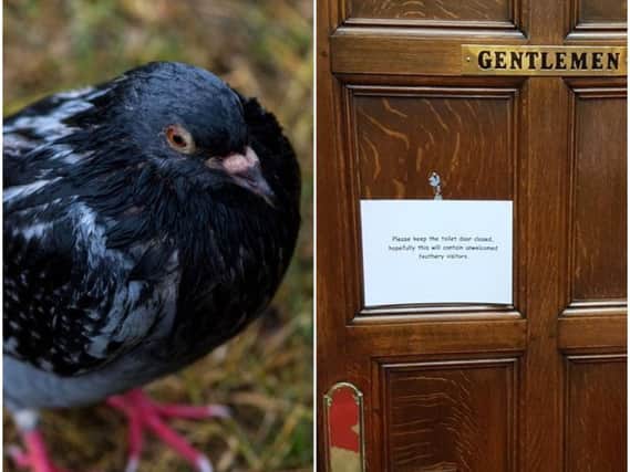 A sign asking toilet-goers to keep the door shut because of the birds was seen this week.