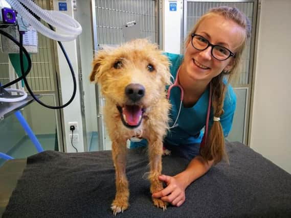 Ward team leader Lydia Barry with patient Mickey.