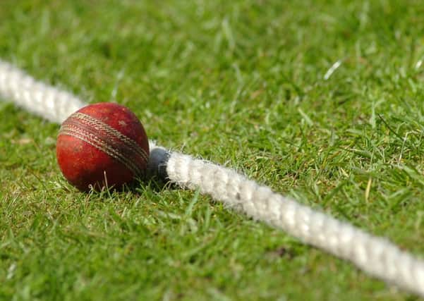 Cricket stock photo. Cricket ball against boundary  rope. (d14051261)