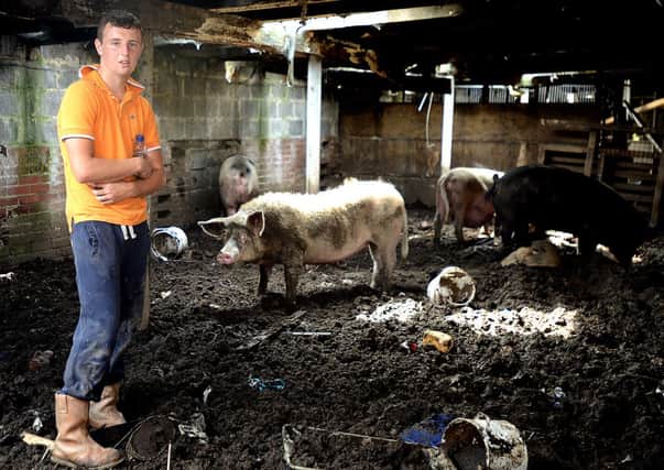 Thursday 12/07/13 Fire at Musgrave Farm, South Hiendley. More than 30 firefighters were involved in fighting the blazing bales of hay and paper during the early hours of the morning.
Pictured: Joe Haigh who rescued some of the farms pigs as the blaze took hold.
h301k330