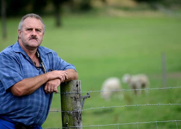 One of Nigel Harvey's £1,200 sheep on farm land in Horbury, was attacked by a dog and he had to fire gun shots in the air to get the dog off. He said he will shoot, which the law allows, any dog on sight that comes onto his land unleashed and uncontrolled, in the future. He wants to warn dog owners to be more responsible when walking dogs near land that has livestock on it.
w317a333