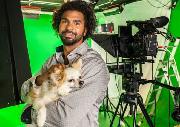 Chihuahua owner David Haye presenting the first weather forecast for dogs on behalf of MORE TH>N Insurance. Picture: Nigel Davies