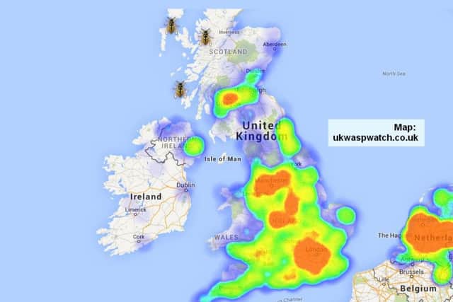 Map of reported wasp sightings