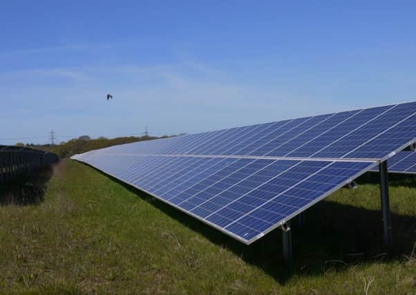 Solar panel farm.