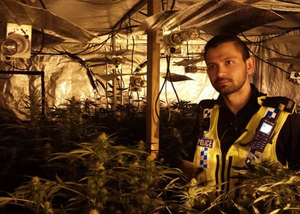 Police shut down a £1 million cannabis farm in an industrial unit on the Millenia Park Industrial Estate, Thornes, Wakefield.