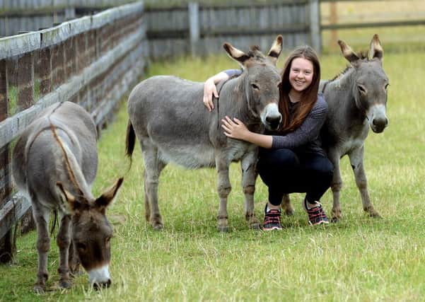 Newspaper: Pontefract & Castleford Express.
Story: Jennifer Howarth from Cridling Stubbs will see her dream come true when her donkey santuary and visitors centre opens later in the year (2015). 
Photo date: 21/07/15
Picture Ref: AB144b0715
