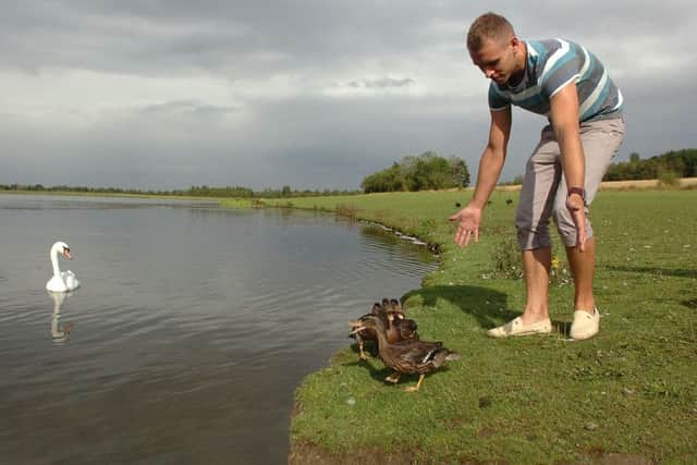 The town hall ducklings, Eeny, Meeny, Miny and Mo getting released into the wild at Anglers Country Park following a short stay at a sanctuary.Pictured: