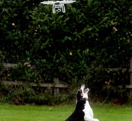 Newspaper: Wakefield Express // Morley Observer.
Story: Brian Wheelhouse, who runs the Whitehall Dog Rescue centre, East Ardsley, uses a drone to help exercise some of the dogs at the centre.
Photo date: 07/09/15
Picture Ref: AB201d0915