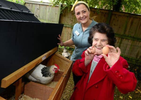 Hens introduced at Nesfield Lodge in Belle Isle and Bywater Hall and Lodge in Allerton Bywater to help tackle loneliness among the elderly in care homes.