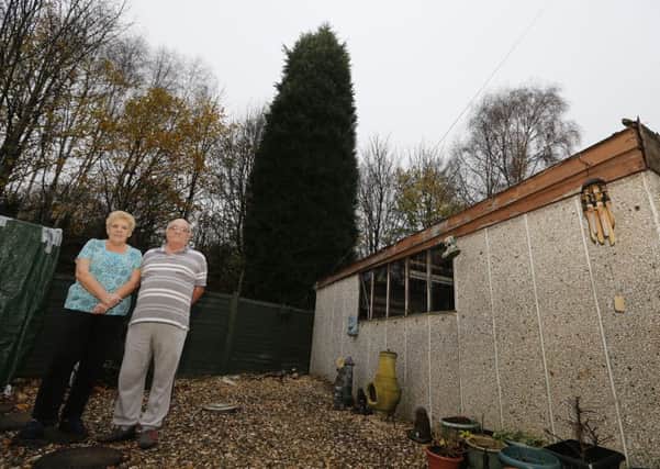 Geoff and Joan Sagar from Walton have asked Network Rail to cut down a 75 ft conifer which they understand to be on railway land at the back of their garden as they are worried it is unsafe and will fall on their house.