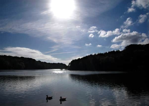 POSSIBLE PICTURE POST - The autumnal sun shines low over the dam at Newmillerdam Country Park & Boathouse near Wakefield. Covering 237 acres of woodland and water by the picturesque village of Newmillerdam, the Park was once part of an area known by the Norse name of Thurstonhaugh. The name changed when it was part of the medieval 'Chevet' estate after a new corn mill was built in the village in 1285 and the area became known as New Myllne on Dam. The original mill was probably situated upstream near to the site of the Boathouse and was rebuilt several times during the period before 1633 when it was moved to its present location by Francis Nevile of Chevet Hall.  Where once the park was managed for game and commercial forestry (the pine and larch trees having been planted for pit props), it is now managed by the Countryside Service for the benefit of wildlife and visitors. The dam began life as a small section of the Owler Beck which was dammed to turn the cornmill's water wheel.  Today the lake is fed by Ble