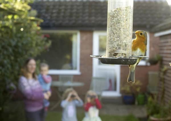 BIRDWATCHING: A family spot a robin during the RSPBs Big Garden Birdwatch. This years event takes place this weekend, January 30 to 31. Picture: Ben Hall (rspb-images.com)