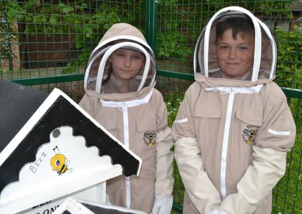 Greenhill Primary School pupils Paige Baldwin and Jenson Marsden-Milner at the school's new behive. Picture: Martin Fenton.