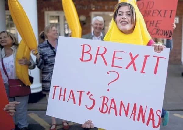 Remain supporters dressed as bananas at a protest.