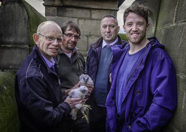 From left Mark Watson and Steve Davis, of the Peak District Raptor Monitoring Group, Francis Hickenbottom, of Wakefield Naturalists Society, and Wakefield Trinity Wildcats' captain Danny Kirmond.
Picture: John Gardner