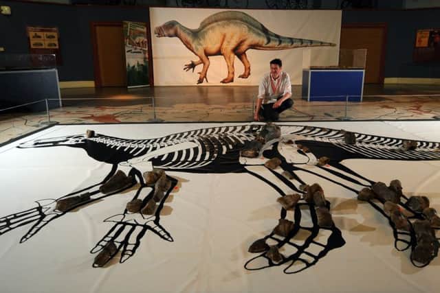 Museum Curator Neil Owen pictured with the partial Skeleton of a 25ft Hypselospinus.