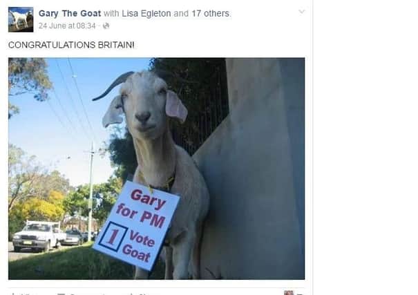 Gary the Goat is an internet sensation - with over 1.5m Facebook friends.