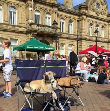 These dogs had a good vantage point at Big Screen Ossett