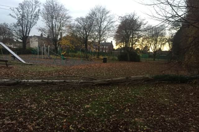 A fallen tree near a children's play area in Horbury Bridge.