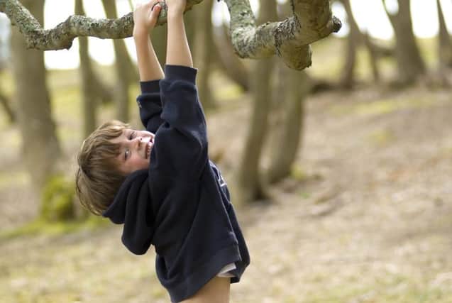 Child in a tree at Brownsea Island, Poole harbour, Dorset