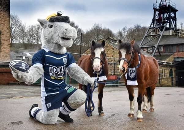 Featherstone's new club mascot Percy the Pit Pony with the National Coal Mining Musuem's resident pit ponies Eric and Ernie.