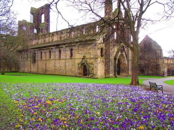 Signs of spring as flowers bloom at Kirkstall Abbey in Leeds.