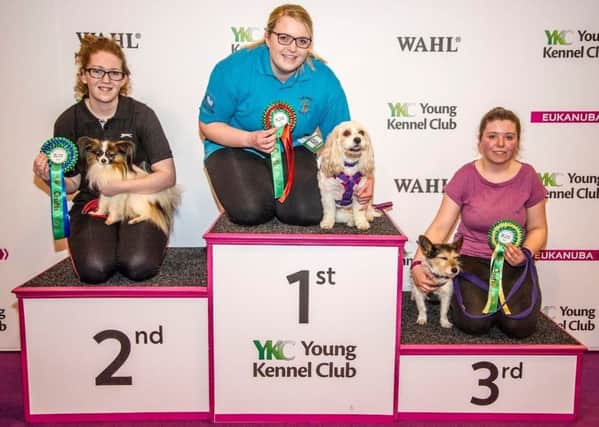 Papillon Jack (left) made sure to take a starring role alongside handler Rachel Dutton as they walked away with the runner-up prize in the Young Kennel Clubs small agility ABC.