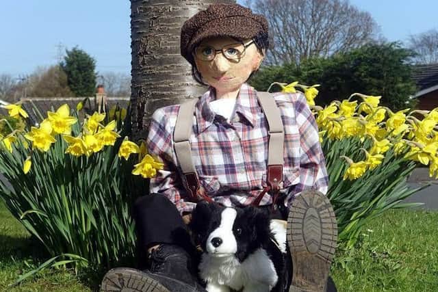 FEET UP: Tommy the Tyke and his pup take a break from horse riding.