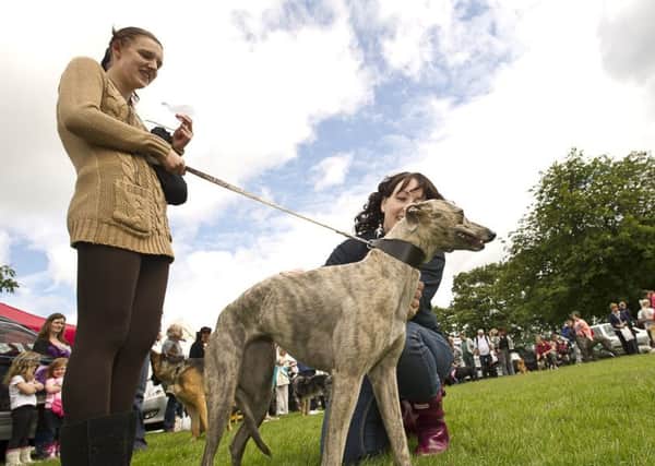 Horbury Show - Shona Hydal has her greyhound Lily looked over by Shelly Dobbley