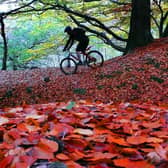 Autumn is coming... so here are some reasons to be cheerful. Picture: Tony Johnson.
